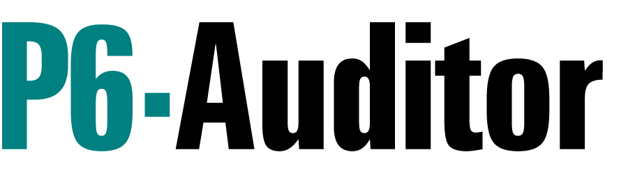 P6-Auditor Logo