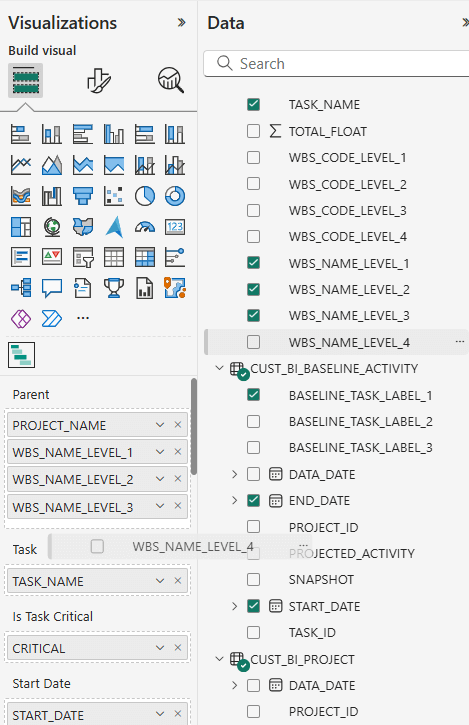 Data Options in the Emerald BI-GanttView