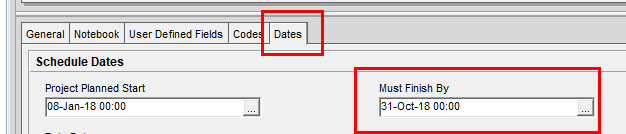 Project Level Constraints