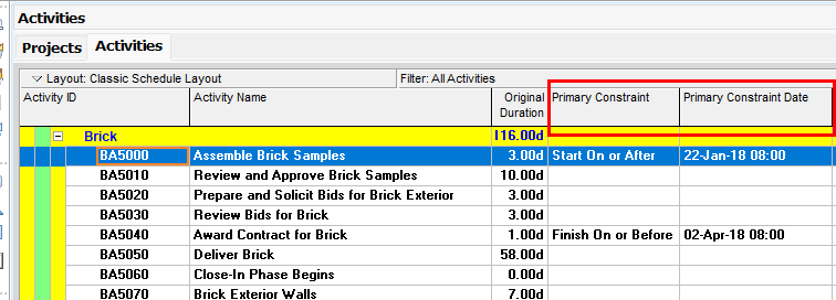 Primary Constraint Columns in Primavera P6