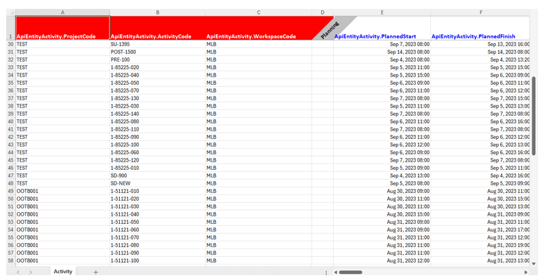 View Records in Excel
