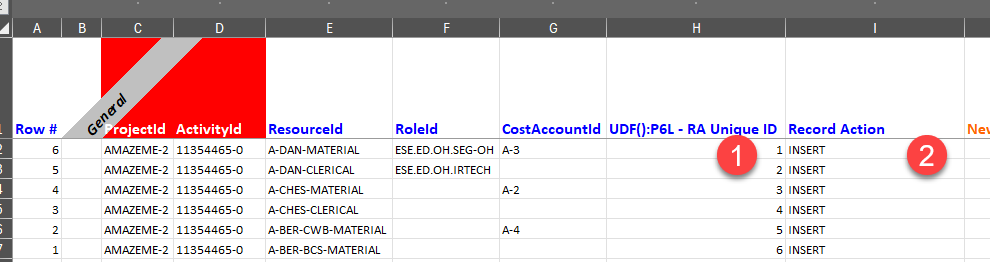 P6-Loader v14 - Example: Records Inserted Into Database