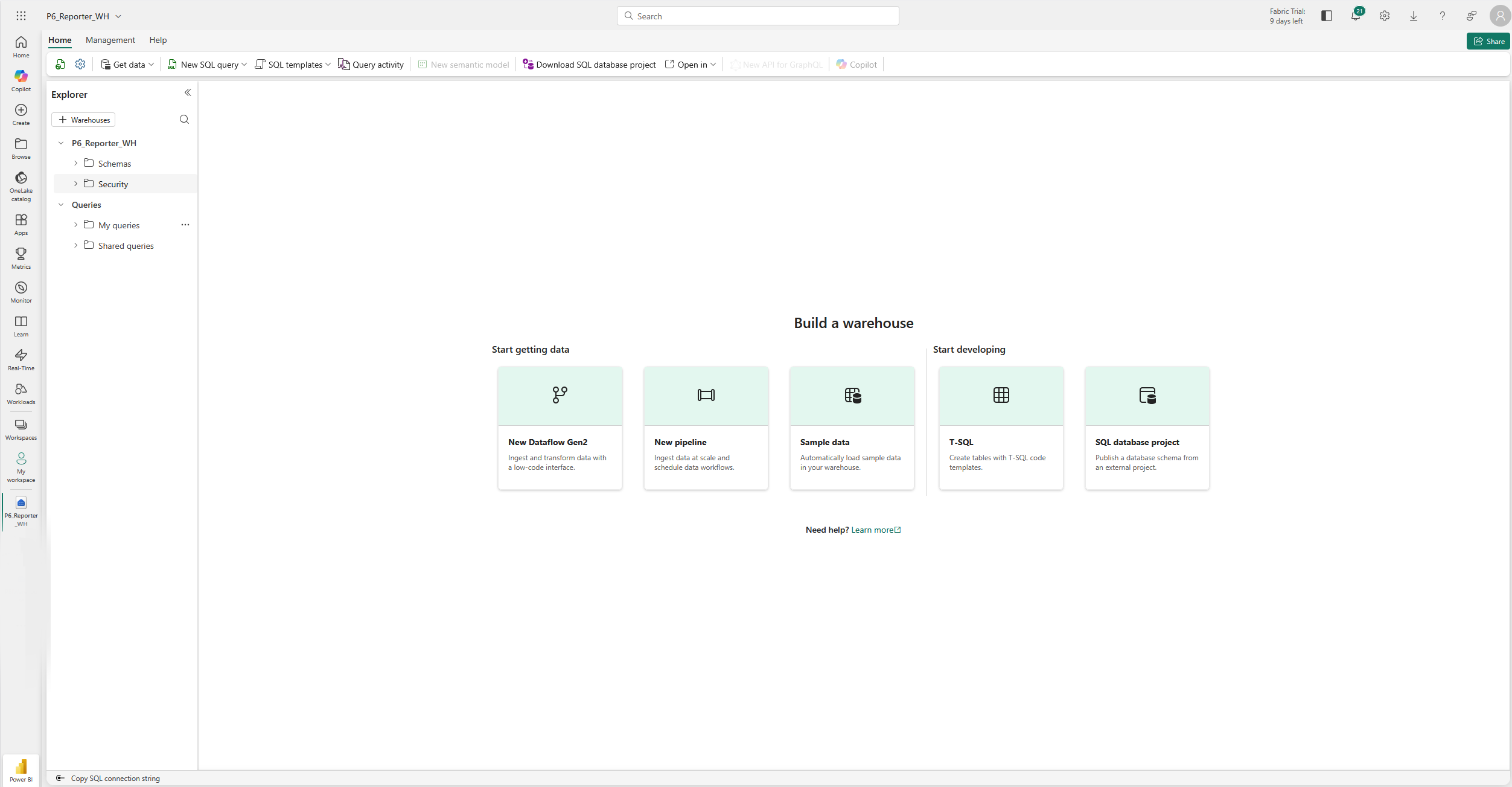 P6-Reporter to Power BI - Image 2