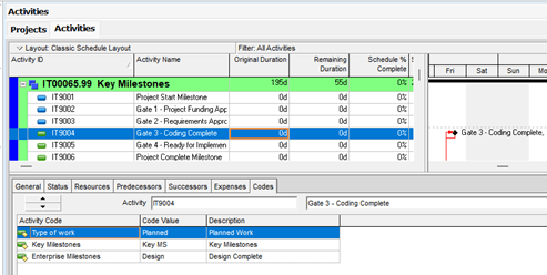 Milestones in Primavera P6