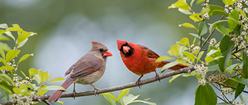 Glad I was apart of basic and advanced classes