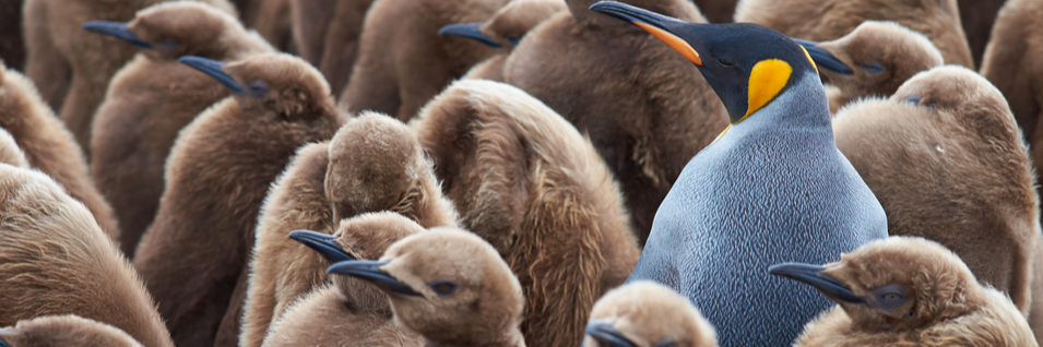 easy to move through the material