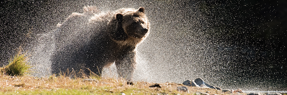 Ian was an excellent instructor