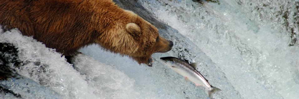 The instructors were very knowledgeable and extremely helpful