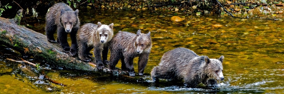 All of it was fantastic