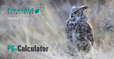 Sync P6 Codes Automatically as Activity Data Changes Using P6-Calculator