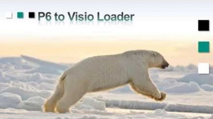 Video - P6 to Visio Loader