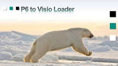 Video - P6 to Visio Loader