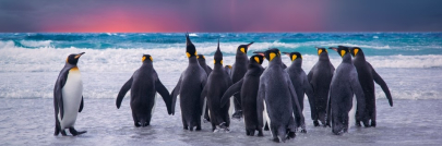 P6-Loader v15 - New Release