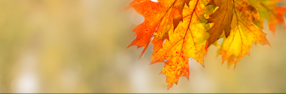 Unifier v24 - New Release